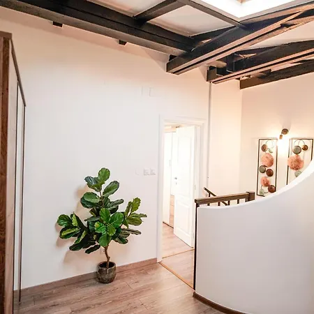 Apartamento Rocco *